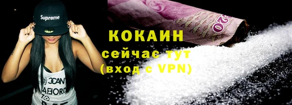 прущие грибы Богданович