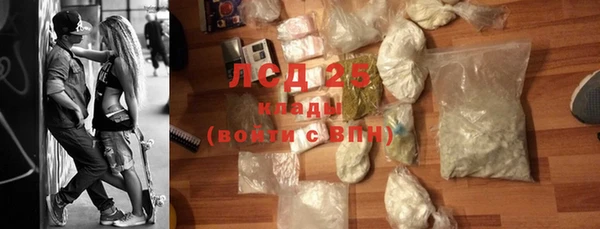 прущие грибы Богданович