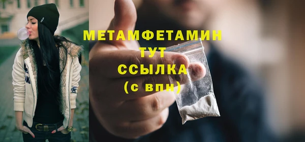 прущие грибы Богданович