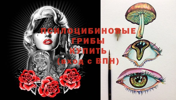 прущие грибы Богданович