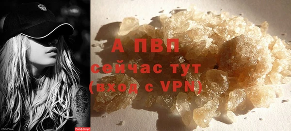 прущие грибы Богданович