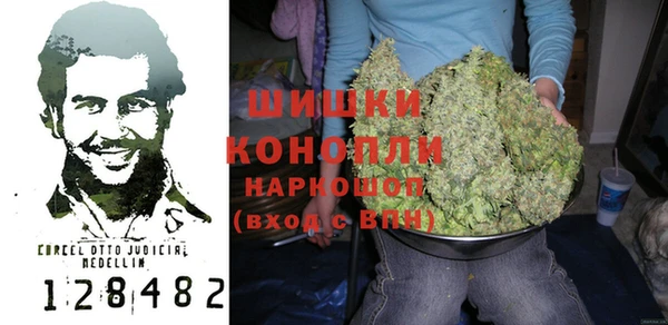 прущие грибы Богданович