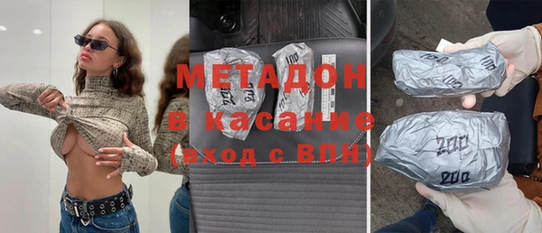 прущие грибы Богданович