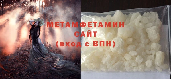 прущие грибы Богданович