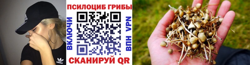 цены наркотик  Сибай  Псилоцибиновые грибы прущие грибы 